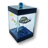 1 Aquário Beteira Decorada Betta 09x 09 X 14 Cm + Cama Beta