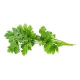 Semillas De Cilantro Apto Huerta/hidroponia (semillas) 