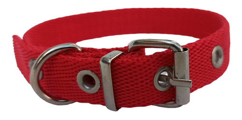 Collar Perro Clasico Soldado Cinta Polipropileno 2cm X 50cm