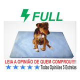 Jornal Pet P/ Cães 500uni Papel Limpo Absorvente +brinde