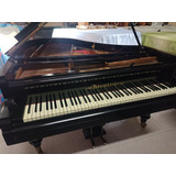 Piano Cauda Bosendorfer 1,60