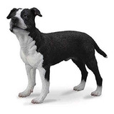 Collecta American Staffordshire Terrier