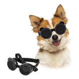 Gafas De Sol Para Perros De Razas Pequeñas, Gafas Para Cacho