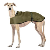 Abrigo Impermeable Para Galgos: Estilo, Protección Contra El