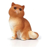Modelo De Animal De Gato Persa, Modelo De Simulação De Anima