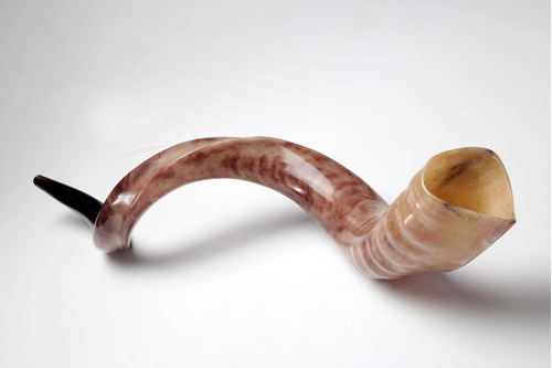 Nuevo Shofarot Israel Kosher Yemenita Kudo Kudu Shofar Tama.