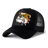 Gorra Bulldog Trucker Animal Collection