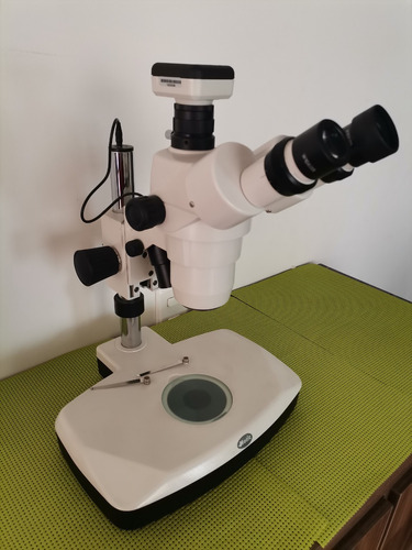 Estereomicroscopio Trinocular Motic Serie Smz-168