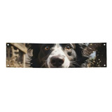 Pancarta Decorativa Para Fiesta Con Pastor Border Collie 47 