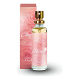 Perfume Top Classic - Amakha Paris 15ml Excelente P/bolso