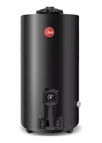 Termotanque A Gas Natural De Pie 80 L Rheem Tgnp080rh