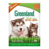 Greenland Hierba Comestible Perros Gatos Semillas Gramíneas 