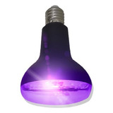 Foco Led  Angulo Radiante Luz Morada 12w Ip20 Base E27