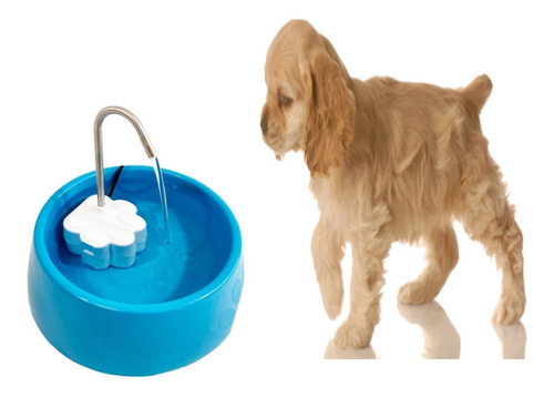 Bebedor Cachorros Kit Fonte Petlon Baby Para Pets Azul 220v