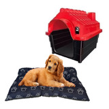 Cama Pet Quadrada Fibra Acolchoada + Casinha Dog Pet Shop N3