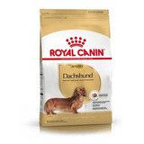 Royal Canin Dachshund X 3kg (salchicha) Z.norte Il Cane Pet