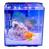 Kit Pecera Jonasreef Nano Marino 27l Acuario Marino 