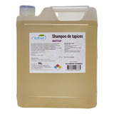 Shampoo Limpia Tapices Autos 5 Litros