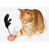 Juguete Para Gatos Teaser Citrus Zee.cat/ Boxcatchile