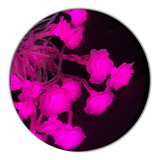Guirnalda Luces Flores Rosas Led Usb Pila Dual Decoracion