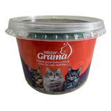 Mister Grama Graminha Para Gatos E Cães