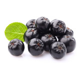 Sementes De Blueberry Gigante Chokeberry Aronia Melanocarpa