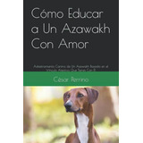 Como Educar A Un Azawakh Con Amor: Adiestramiento Canino De