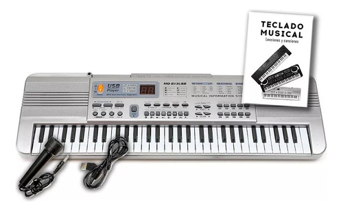 Organo Piano Teclado Musical Infantil Microfono Mq813 Usb