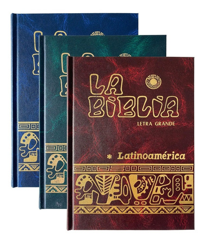 Caja De 16 Pz Biblia Latinoamericana Letra Grande Colores 
