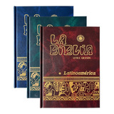 Caja De 16 Pz Biblia Latinoamericana Letra Grande Colores 