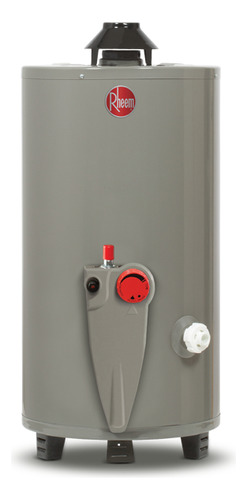 Calentador De Agua Rheem De Depósito 49 Litros A Gas Lp