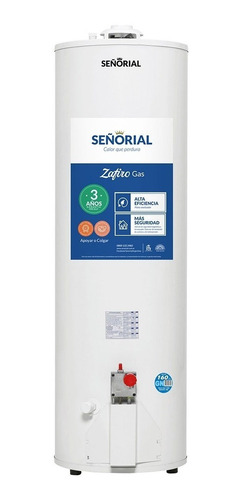 Termotanque Señorial 160 Litros - Línea A Gas