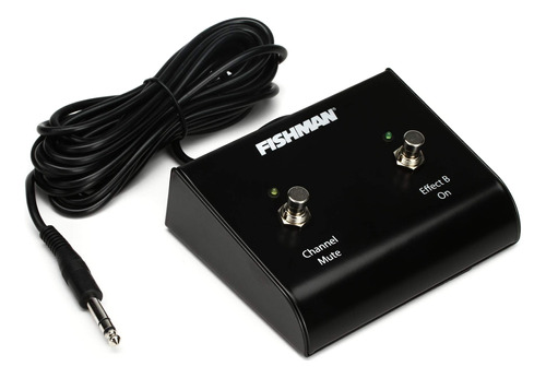 Fishman Pedal Dual Loudbox