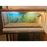 Acuario Vidrio Completo Con Base