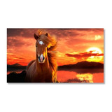 Cuadro Decorativo Caballo Atardecer En Lienzo