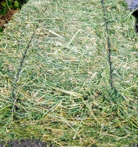 Heno De Alfalfa Seco Para Conejos, Cobayos. 1kilo.