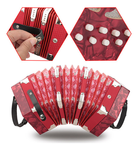 Concertina Profesional De 20 Botones, Acordeón Musical