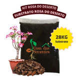 Combo 2 Sacas De Substrato Rosa Do Deserto 14kg - Total 28kg