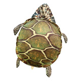 Divertidas Almohadas De Concha De Tortuga, Juguete De 60cm