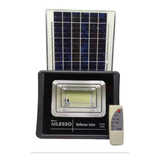 Reflector Solar 100w Ip66-6500k Luz Fría 30000 Hrs Exterior 