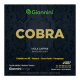 Encordoamento Viola Cv82m Bronze 80/20 Giannini Cebolao Re