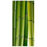 Cañas Bambu De 4m Envíos Cerco De Cañas Tutores Pergolas