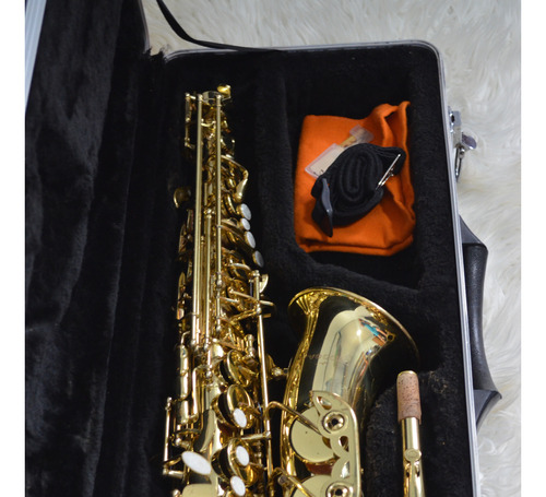 Saxofone Alto Vogga Vsas 701 (.(.( Lindão ).).)