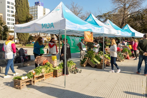 Gazebos Usados Para Ferias 