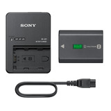 Kit De Baterías Sony Np-fz100 Y Cargador Bc-qz1 (bivolt), Color Negro