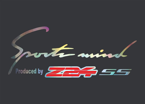 Calcomania Sport Mind Z24 Ss_ Variedad De Diseños Y Colores