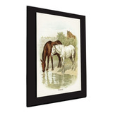 Cuadro 60x40 Cms  Caballo 9+envío Gratis