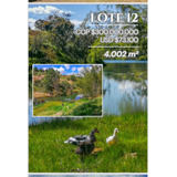 Rhbr-11408 (lote, Guatape)