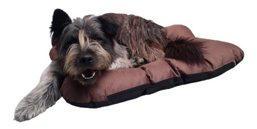 Cama En Lona Impermeable Para Perros Medianos