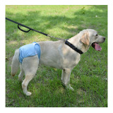 Pañales Para Perros Reutilizable Xxl (2xl)